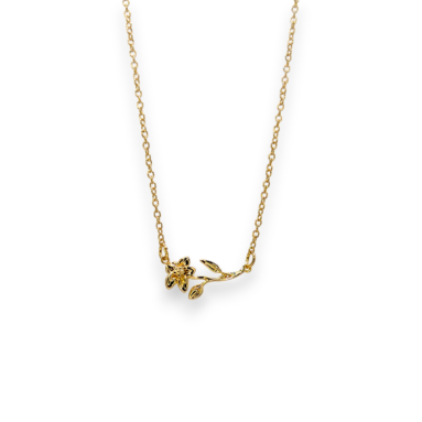 Distinctive Birth Flower Jewelry Gift – Dainty Birth Flower Necklace