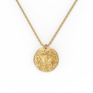 Fantastic Positive Vibes Gift – Hammered Gold Zodiac Pendant Necklace