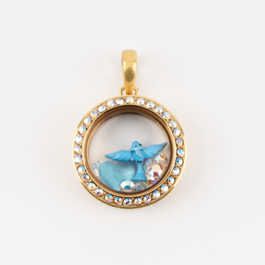Dazzling Gift – Wonderland Dreams Living Locket Set – Think Goodness